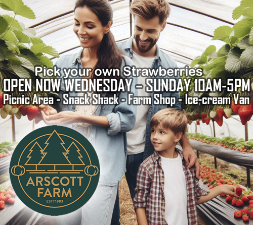 Arscott Farm Page Banner Strawberry