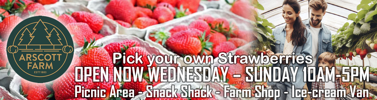 Arscott Farm Page Banner Strawberry