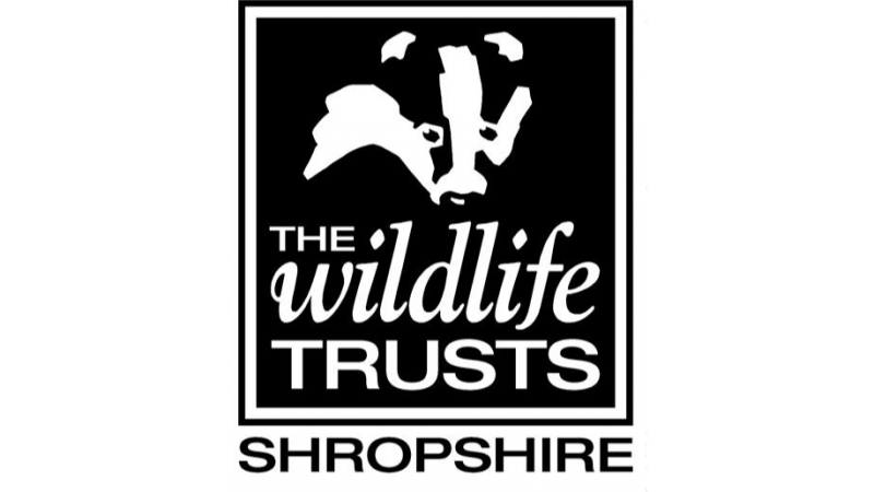 Shropshire Wildlife Trust celebrates six decades of local nature conservation 