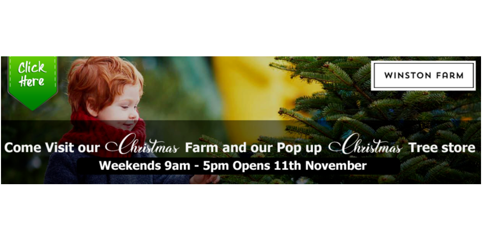 WIN A beautiful REAL Christmas Tree from our friends Winston Farm Christmas Trees & Pumpkins