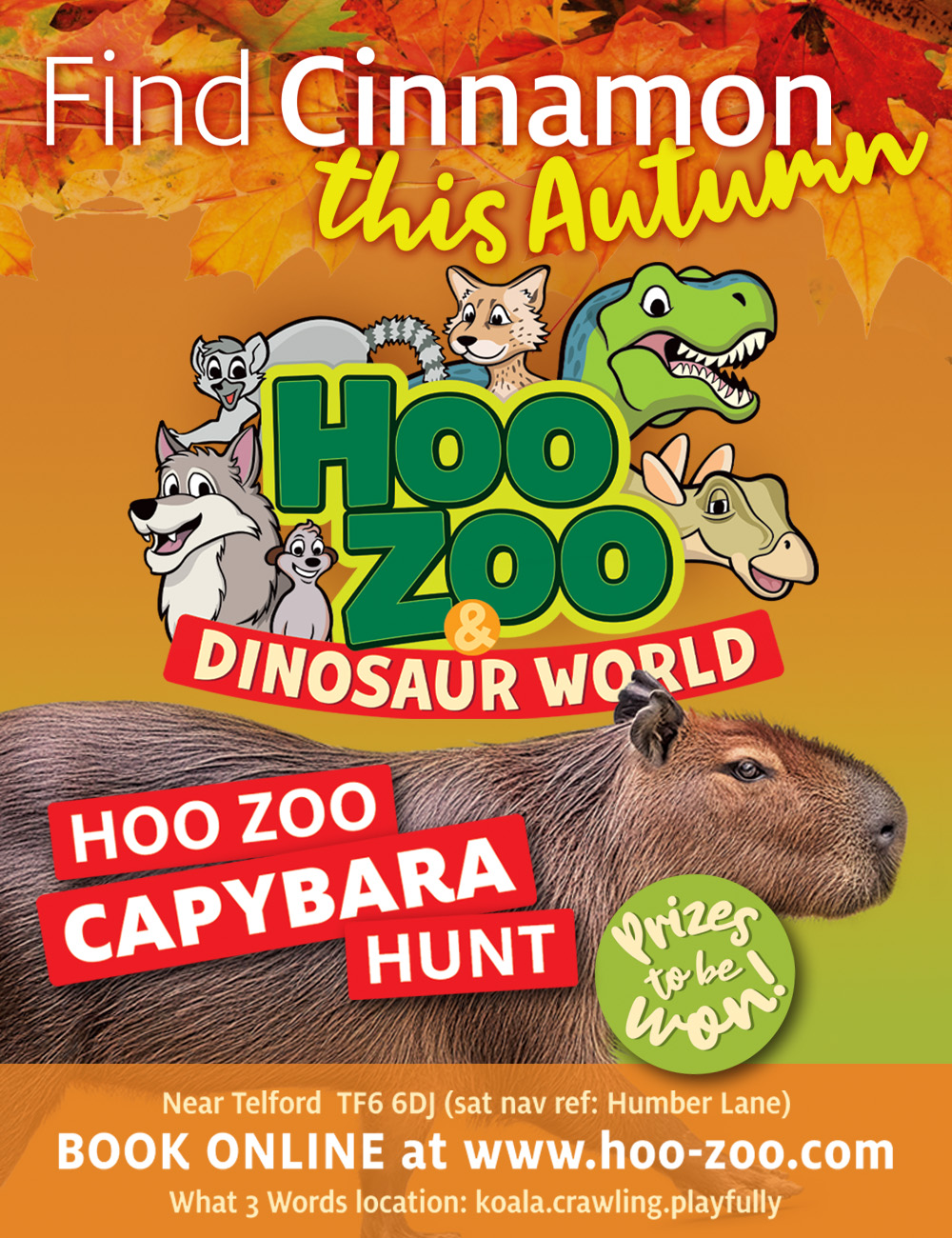 Hoo Zoo 2025 Autum